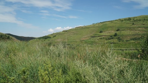 宁夏海原:破解土豆增收的生态“密码”