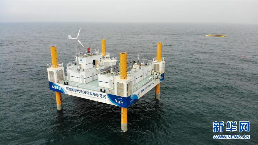 (新华全媒头条·走向我们的小康生活·图文互动)(5)幸福小康入画来——齐鲁大地描绘小康新画卷