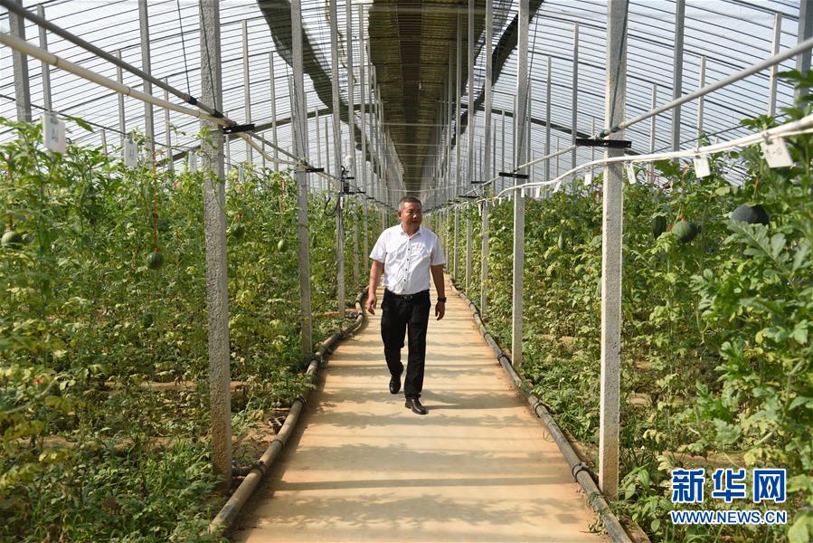 (新华全媒头条·走向我们的小康生活·图文互动)(11)幸福小康入画来——齐鲁大地描绘小康新画卷