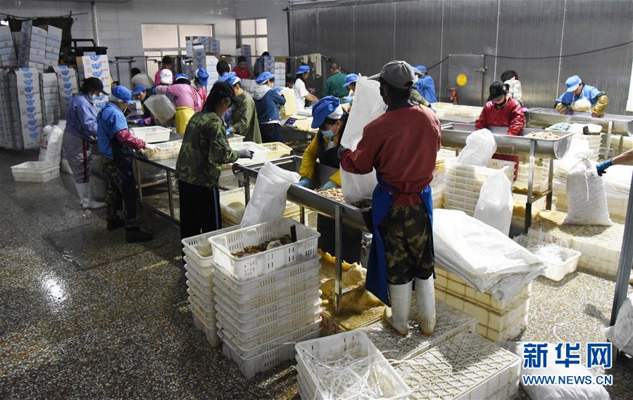 (新华全媒头条·走向我们的小康生活·图文互动)(3)幸福小康入画来——齐鲁大地描绘小康新画卷