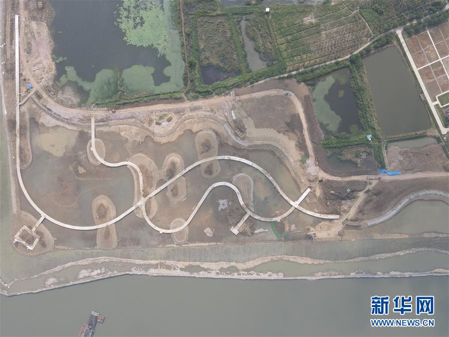 (新华全媒头条·图文互动)(11)千帆一道带风轻——长三角更高质量一体化发展迈向新格局