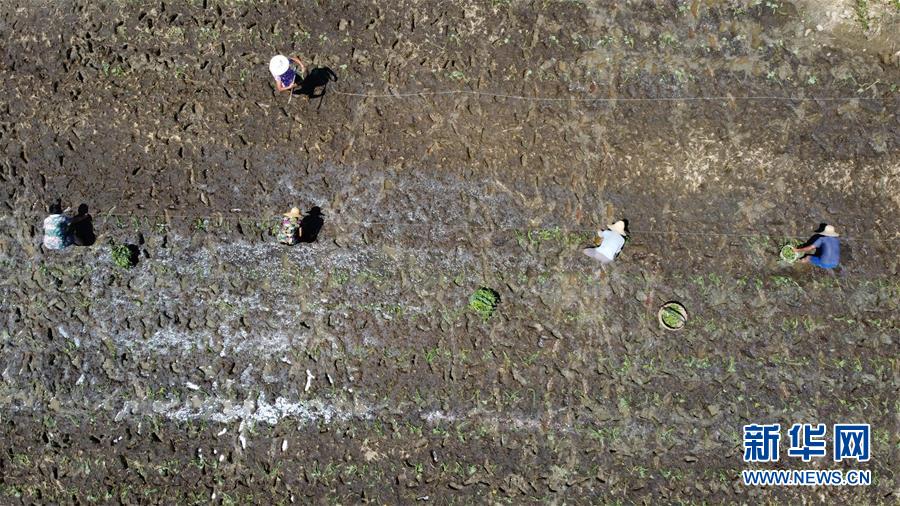 ����ϰ��ƽ��ʱ���й���ɫ�������˼��ָ���¡�����ʱ������Ϊ��ƪ�¡�ϰ��ƽ����ǹ����¡�ͼ�Ļ�������8��һ��Ϊ�����񡪡�д��ȫ����Ѵ����ȡ�ý׶����ش�ʤ��֮ʱ