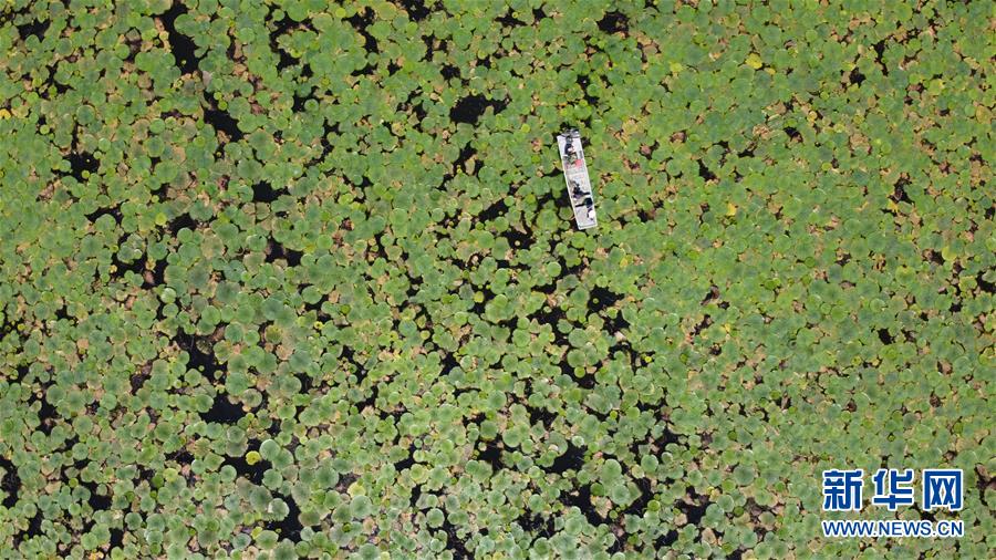 ����ϰ��ƽ��ʱ���й���ɫ�������˼��ָ���¡�����ʱ������Ϊ��ƪ�¡�ϰ��ƽ����ǹ����¡�ͼ�Ļ�������12��һ��Ϊ�����񡪡�д��ȫ����Ѵ����ȡ�ý׶����ش�ʤ��֮ʱ