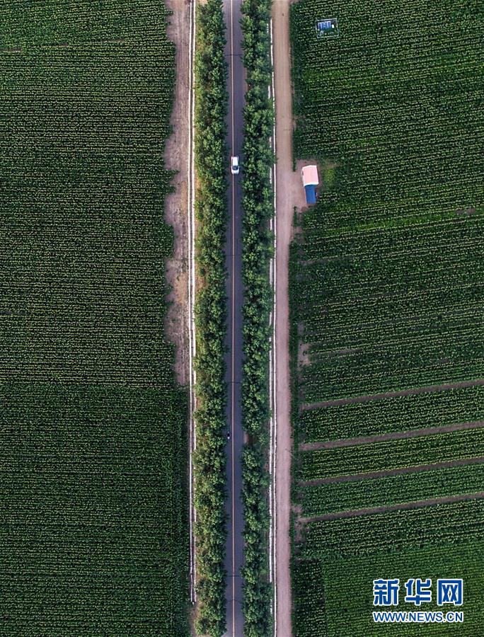 (新华全媒头条·图文互动)(3)为现代农业探新路——来自吉林梨树的田野报告