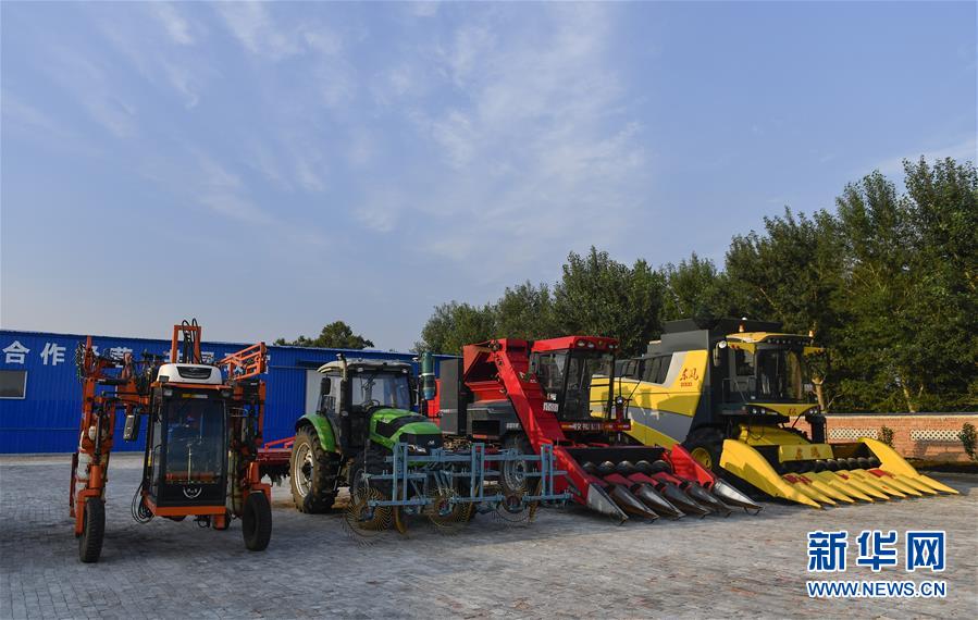 (新华全媒头条·图文互动)(5)为现代农业探新路——来自吉林梨树的田野报告