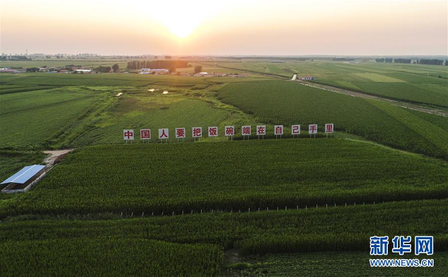 (新华全媒头条·图文互动)(6)为现代农业探新路——来自吉林梨树的田野报告