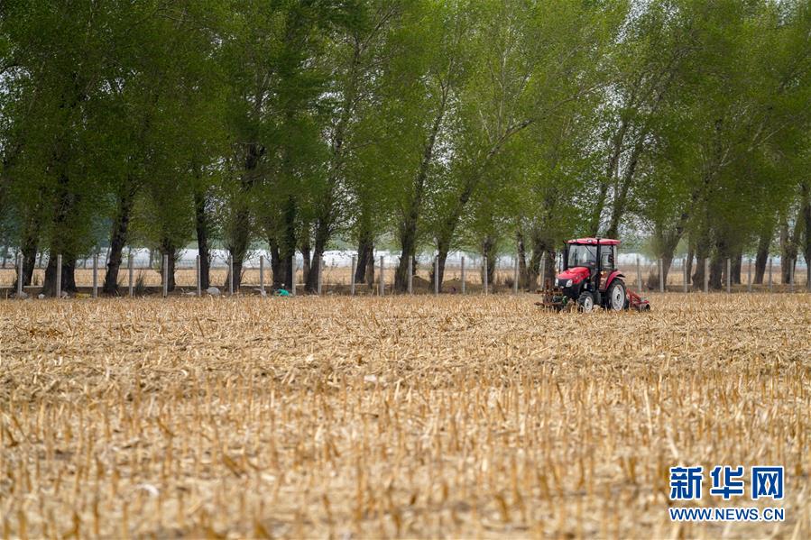 (新华全媒头条·图文互动)(9)为现代农业探新路——来自吉林梨树的田野报告