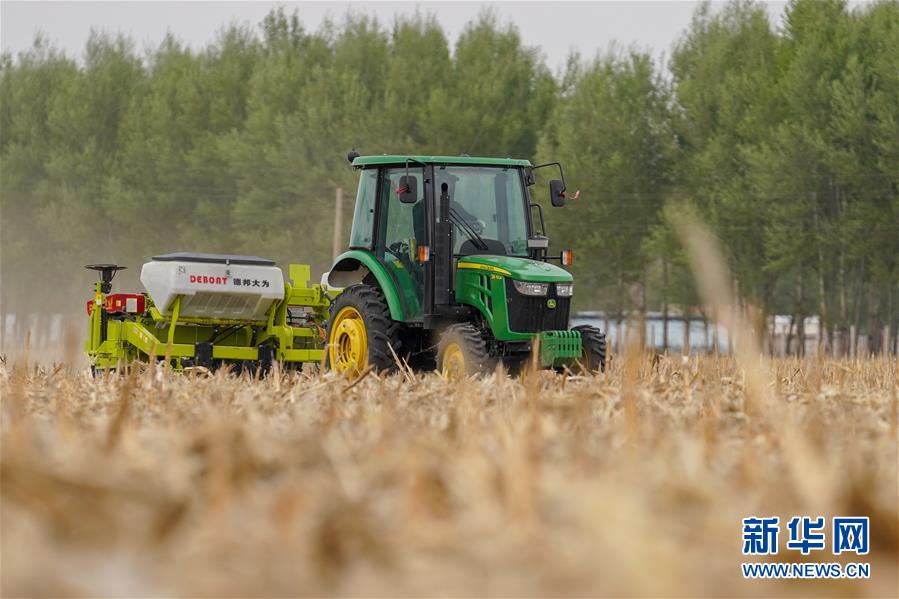 (新华全媒头条·图文互动)(10)为现代农业探新路——来自吉林梨树的田野报告