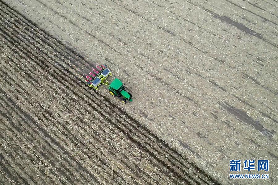 (新华全媒头条·图文互动)(11)为现代农业探新路——来自吉林梨树的田野报告