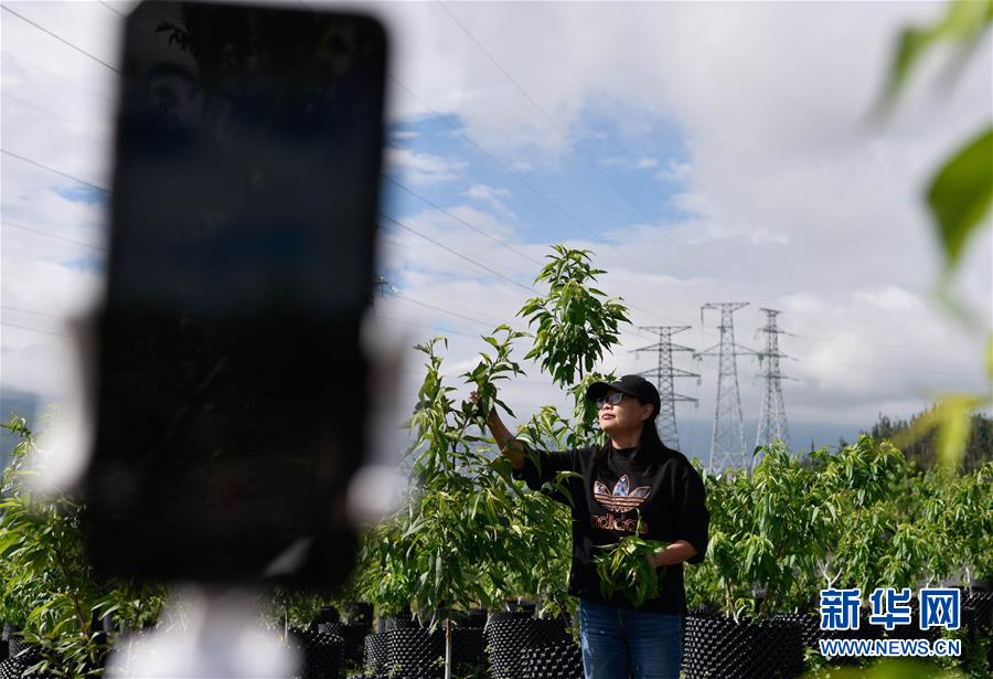 (决战决胜脱贫攻坚·督战未摘帽贫困县·图文互动)(4)12000多个“火种”点亮大凉山