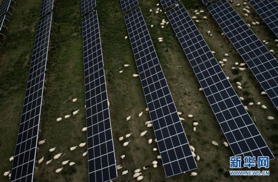 (新华全媒头条·走向我们的小康生活·决战决胜脱贫攻坚·图文互动)(3)高原上绽放的光芒——来自青海攻克深度贫困堡垒的故事