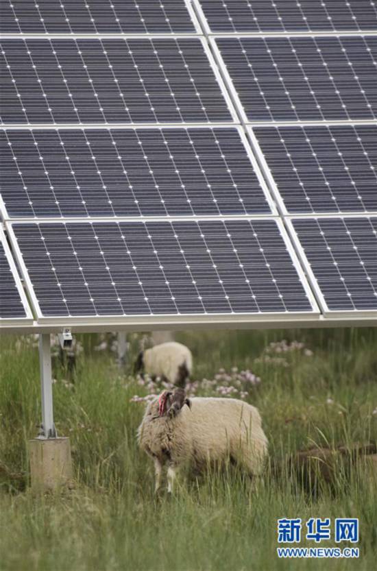 (新华全媒头条·走向我们的小康生活·决战决胜脱贫攻坚·图文互动)(5)高原上绽放的光芒——来自青海攻克深度贫困堡垒的故事