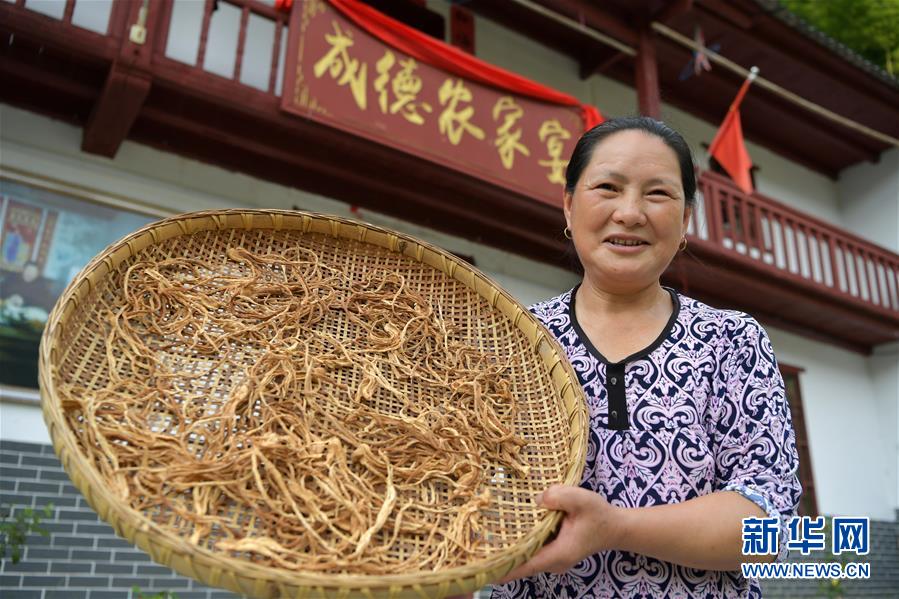 (新华全媒头条·走向我们的小康生活·图文互动)(4)神山村“神奇”何在?——井冈山深处觅答案