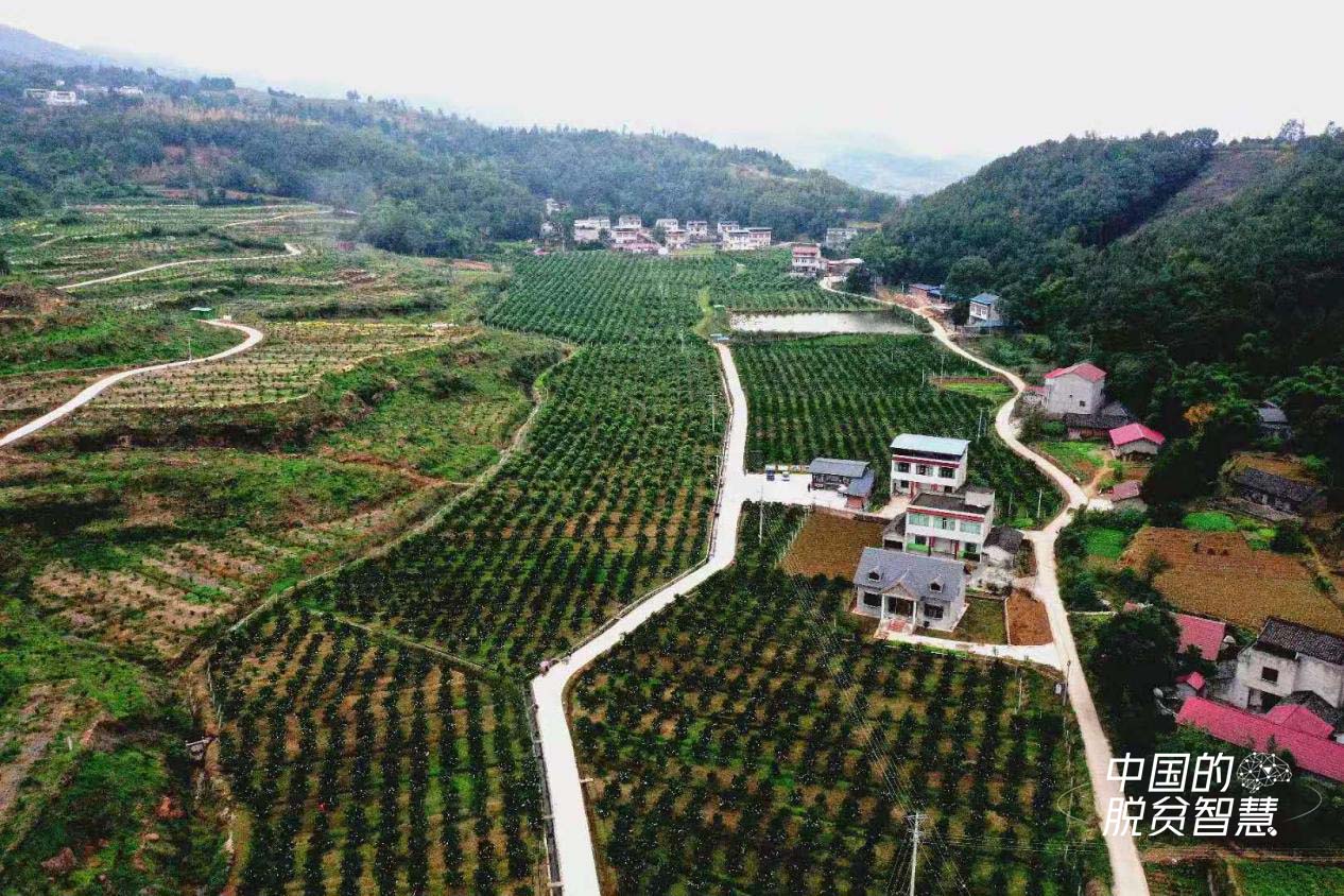 柳河村航拍(四川新闻网供图)