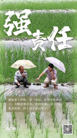 这个令人瞩目的奇迹,发生在中国!