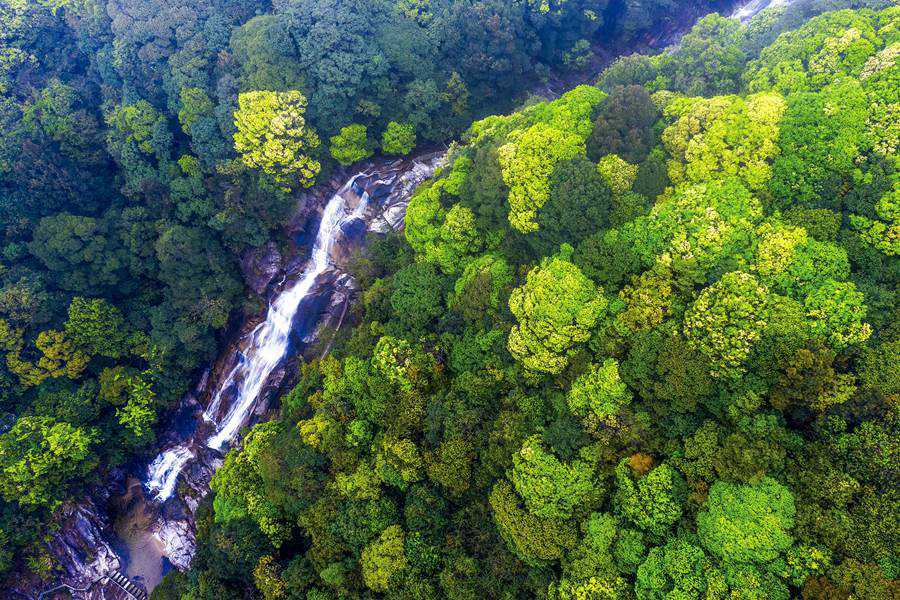 福建省龙岩市武平梁野山丛林飞瀑。黄海摄