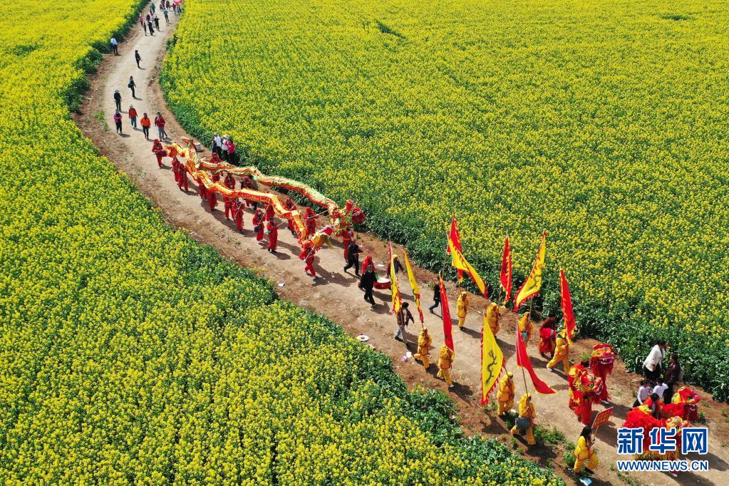 河南宝丰:打造赏花经济 助力乡村振兴