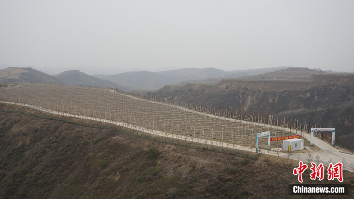 陕西省延安市安塞区高桥镇南沟村生态示范园。 <a target='_blank' href='http://www.chinanews.com/' ><p align=