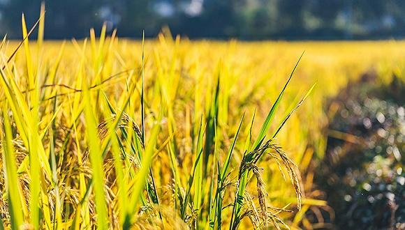 沿着高速看中国丨每一眼,都是绝美画面