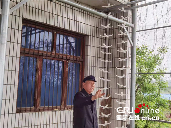 【中国有约】陕西省富平县:干“柿”业发“羊”财 建设美丽乡村_fororder_2