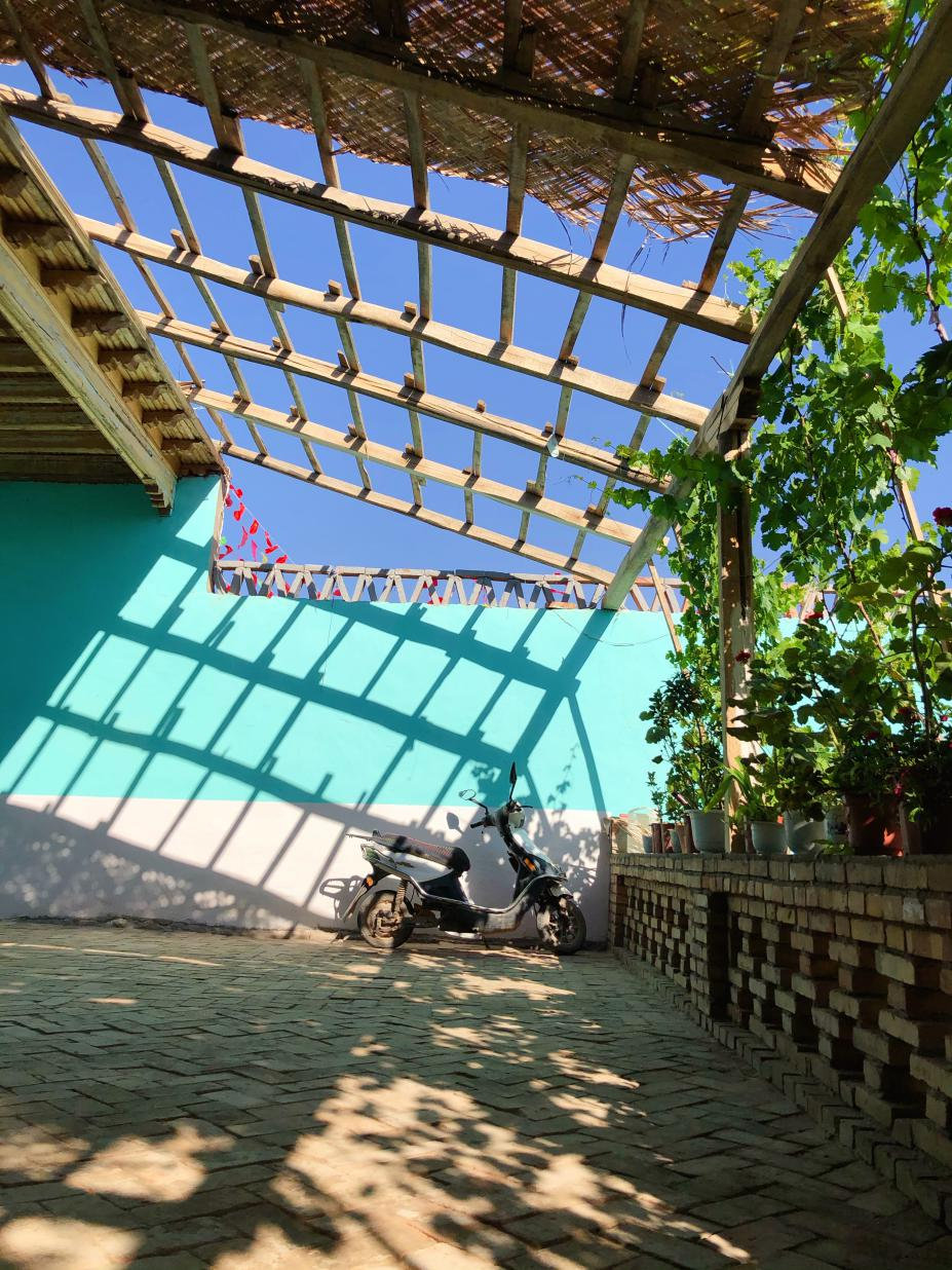 墩艾日克村一户村民的庭院,顺势生长的葡萄藤生机勃勃。