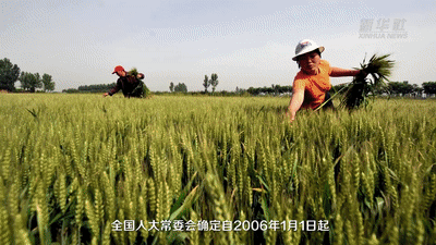 ��ö��ֵ80�ֵ���Ʊ�ϣ���ǣ������ũ��Ĵ��£���ɫ�ٱ���73��