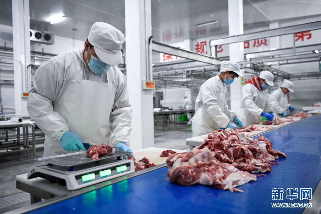 羊肉分割加工