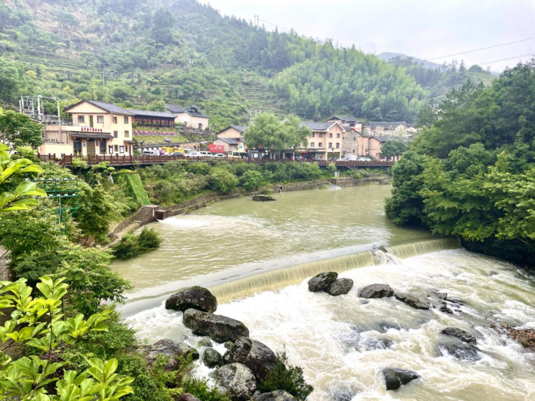 总阅读量2.3亿!“追寻建党百年足迹——网络名人福建行”走进宁德