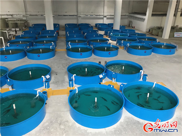 【强国中坚 高质量发展看国企】发力新智造打造新引擎,中部国企转型发展进行时