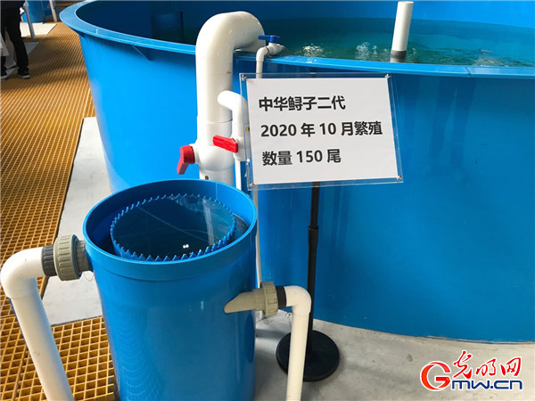 【强国中坚 高质量发展看国企】发力新智造打造新引擎,中部国企转型发展进行时