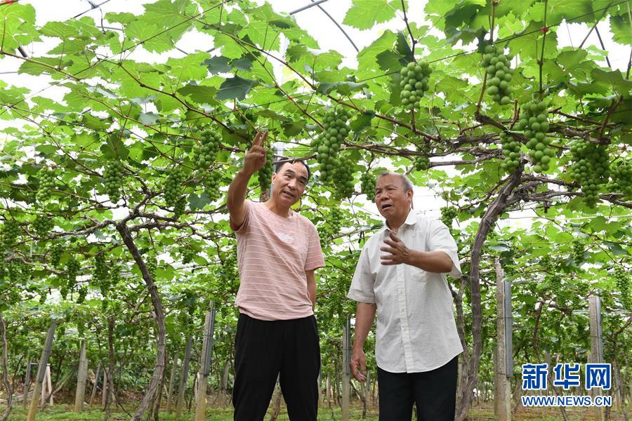 ��ϰ��ƽ��С�����¡�ͼ�Ļ�������5�����ؼ����ļ�����Ҫ�������������ֲ����ġ�����ϰ��ƽ�ƶ��Ƽ����µĹ���