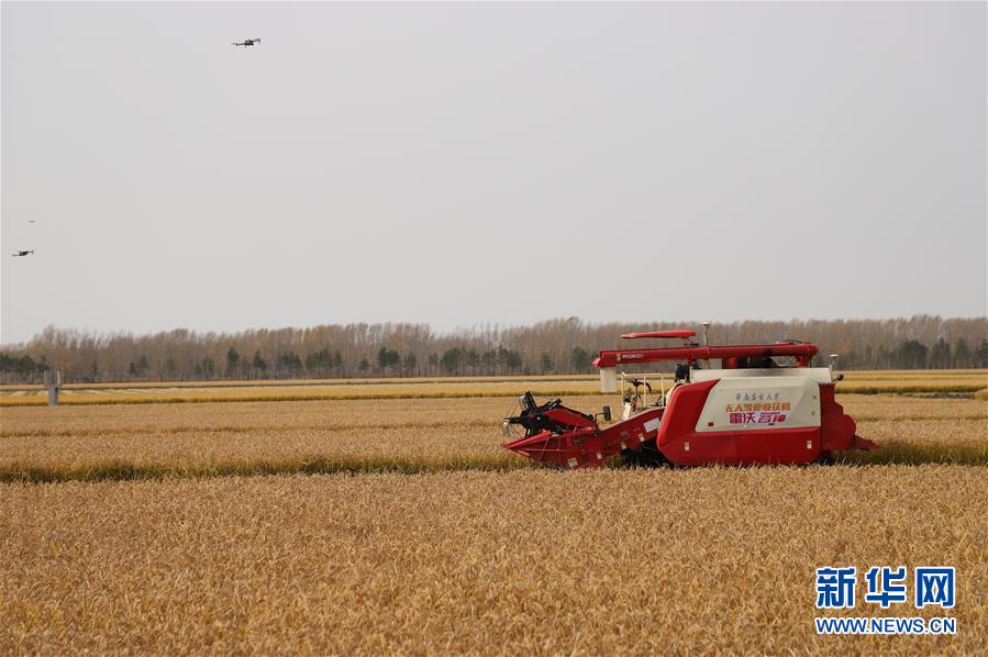 ��ϰ��ƽ��С�����¡�ͼ�Ļ�������6�����ؼ����ļ�����Ҫ�������������ֲ����ġ�����ϰ��ƽ�ƶ��Ƽ����µĹ���