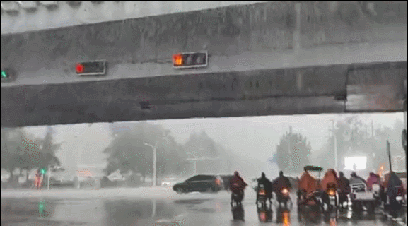 来源:河北新闻网