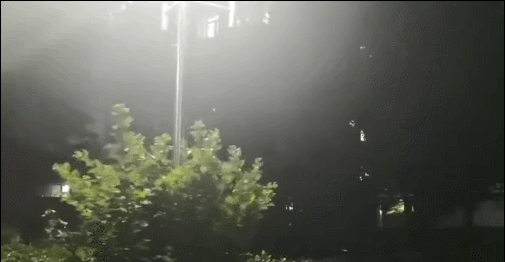 11日晚,昌平风大雨急。