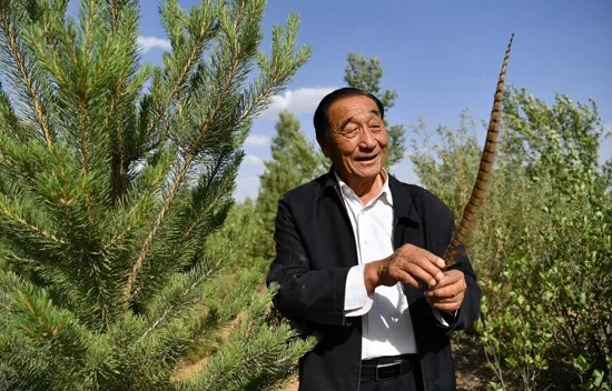 ������һѫ�¡������˵��ʯ����������һ���� ��Ҫ����Ϊ��ɳ���ִ���һ����·