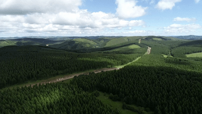 时政新闻眼丨从三组关键词看习近平总书记承德之行