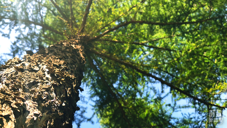 时政新闻眼丨习近平考察承德,这四句话启迪人心