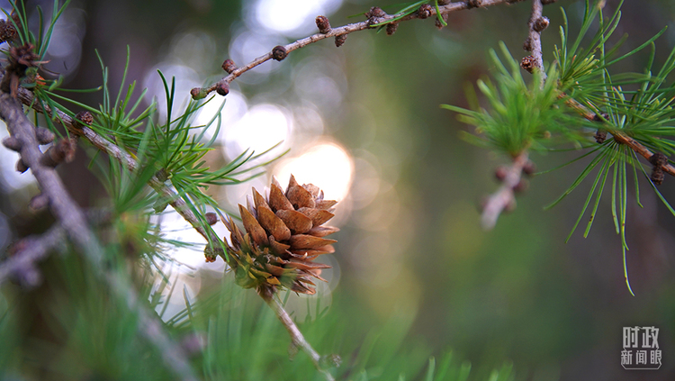 时政新闻眼丨习近平考察承德,这四句话启迪人心