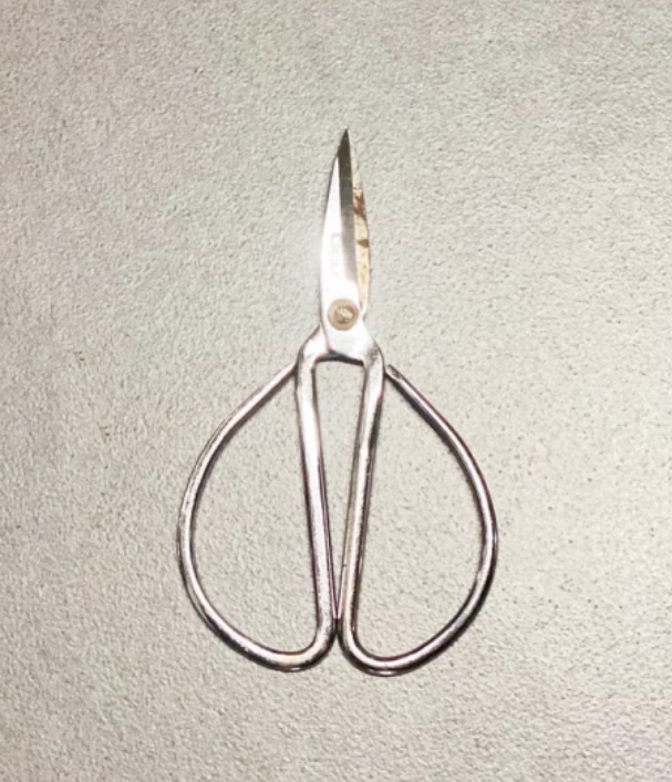 侵华日军“慰安妇”罪行铁证如山,不容否认!