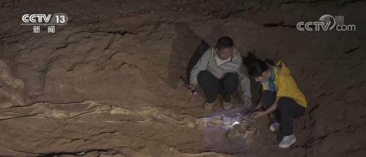 һ�۴�Խ������ �ط�٪�޼� | ��»�����ͷ��������֮�գ�ר��������������