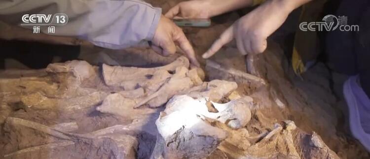 һ�۴�Խ������ �ط�٪�޼� | ��»�����ͷ��������֮�գ�ר��������������