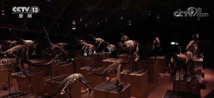 һ�۴�Խ������ �ط�٪�޼� | ��»�����ͷ��������֮�գ�ר��������������