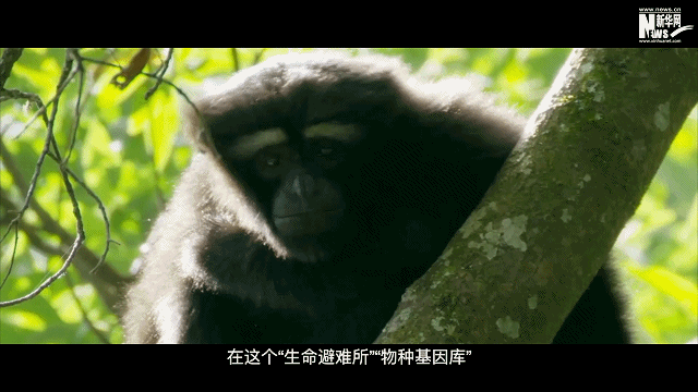 卫星见证,“彩云之南”惊艳世界