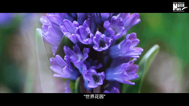 卫星见证,“彩云之南”惊艳世界