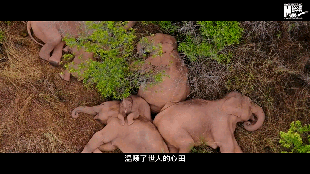 卫星见证,“彩云之南”惊艳世界