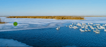 跟着总书记的考察足迹|这里是东营