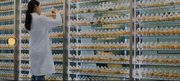 跟着总书记的考察足迹|这里是东营