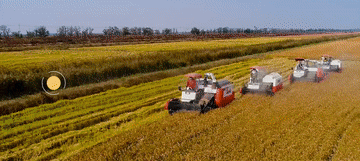 跟着总书记的考察足迹|这里是东营