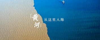 跟着总书记的考察足迹|在这里,黄河入海,飞鸟翔集