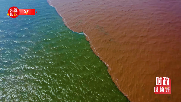 时政现场评丨跟随总书记的脚步 在入海口看壮阔黄河的绿与亲切
